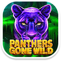 Game Introduction